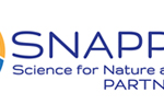 snapp-temp-logo